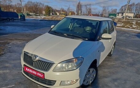 Skoda Fabia II, 2013 год, 580 000 рублей, 1 фотография