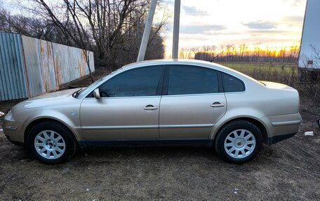 Volkswagen Passat B5+ рестайлинг, 2002 год, 850 000 рублей, 11 фотография