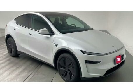 Tesla Model Y I, 2025 год, 6 890 000 рублей, 1 фотография