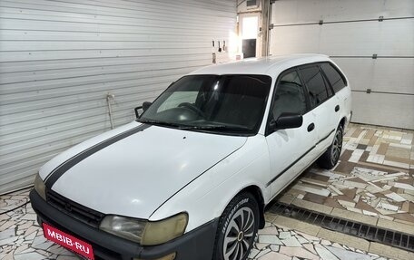 Toyota Corolla, 1997 год, 300 000 рублей, 1 фотография