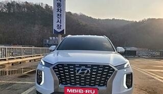 Hyundai Palisade I, 2021 год, 3 250 000 рублей, 2 фотография