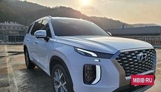 Hyundai Palisade I, 2021 год, 3 250 000 рублей, 3 фотография