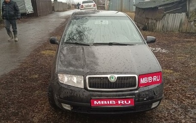 Skoda Fabia I, 2001 год, 300 000 рублей, 1 фотография