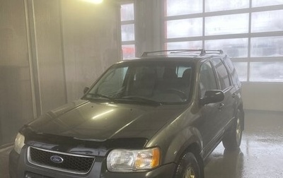 Ford Escape II, 2002 год, 550 000 рублей, 1 фотография