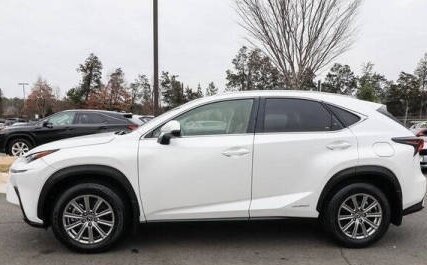 Lexus NX I, 2021 год, 4 390 000 рублей, 3 фотография