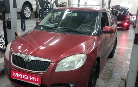 Skoda Fabia II, 2007 год, 450 000 рублей, 1 фотография