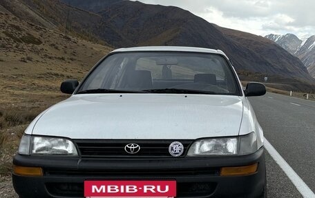 Toyota Corolla, 1993 год, 580 000 рублей, 2 фотография