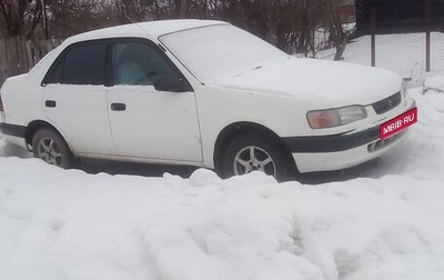 Toyota Corolla, 1995 год, 210 000 рублей, 1 фотография