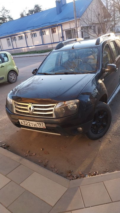 Renault Duster I, 2012 год, 980 000 рублей, 1 фотография