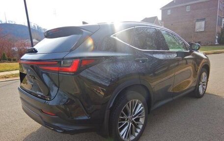 Lexus NX, 2023 год, 6 205 000 рублей, 7 фотография