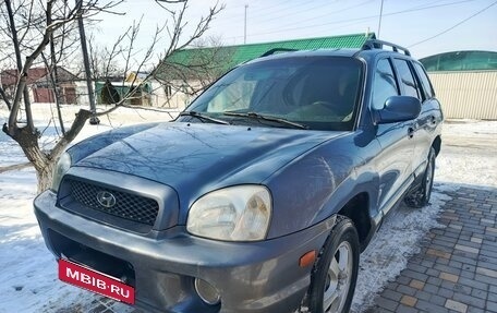 Hyundai Santa Fe III рестайлинг, 2003 год, 450 000 рублей, 1 фотография