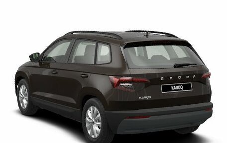 Skoda Karoq I, 2024 год, 3 870 000 рублей, 6 фотография