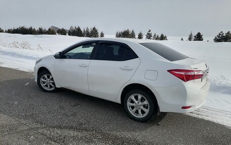 Toyota Corolla, 2013 год, 1 209 000 рублей, 4 фотография