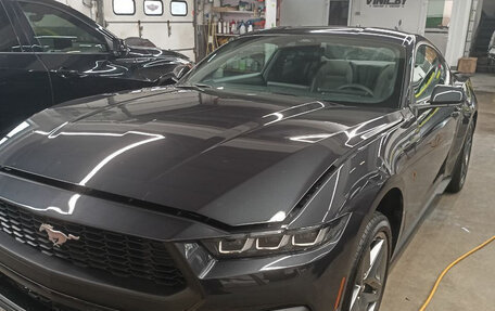 Ford Mustang, 2024 год, 4 990 000 рублей, 14 фотография