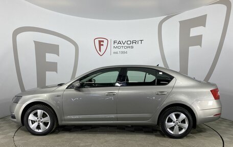Skoda Octavia, 2019 год, 1 910 000 рублей, 5 фотография