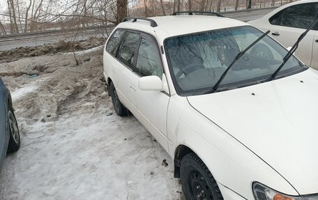 Toyota Corolla, 1998 год, 350 000 рублей, 2 фотография