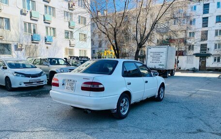 Toyota Corolla, 1999 год, 3 фотография