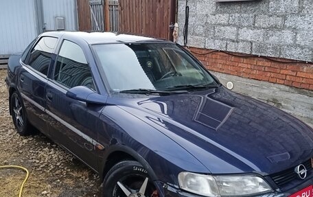 Opel Vectra B рестайлинг, 1997 год, 300 000 рублей, 4 фотография