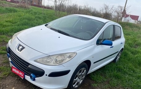 Peugeot 307 I, 2007 год, 350 000 рублей, 1 фотография
