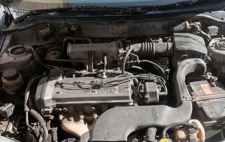 Toyota Corsa, 1997 год, 450 000 рублей, 10 фотография