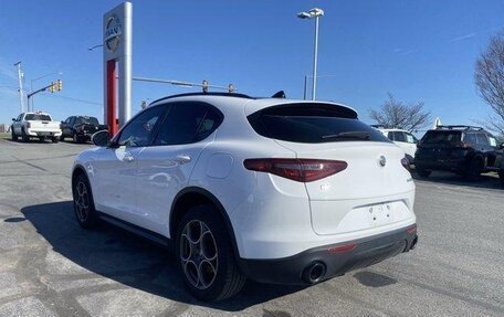Alfa Romeo Stelvio, 2022 год, 3 190 000 рублей, 6 фотография