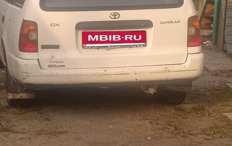 Toyota Corolla, 1996 год, 250 000 рублей, 4 фотография