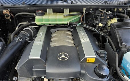 Mercedes-Benz M-Класс AMG, 2003 год, 1 150 000 рублей, 16 фотография