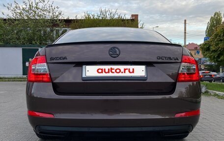 Skoda Octavia, 2015 год, 1 500 000 рублей, 10 фотография