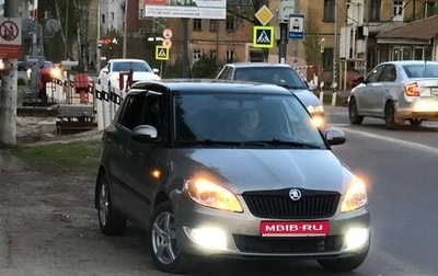 Skoda Fabia II, 2010 год, 720 000 рублей, 1 фотография