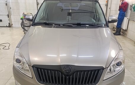 Skoda Fabia II, 2010 год, 720 000 рублей, 13 фотография