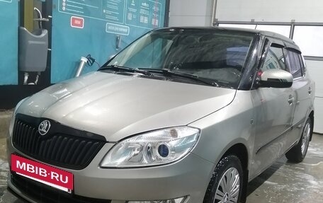 Skoda Fabia II, 2010 год, 720 000 рублей, 15 фотография