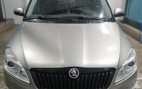 Skoda Fabia II, 2010 год, 720 000 рублей, 16 фотография