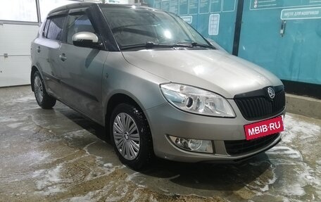 Skoda Fabia II, 2010 год, 720 000 рублей, 17 фотография