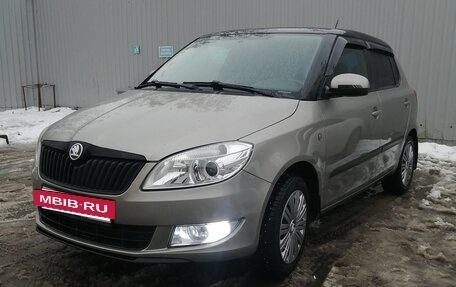 Skoda Fabia II, 2010 год, 720 000 рублей, 20 фотография