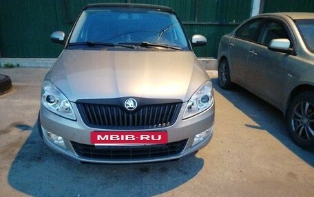 Skoda Fabia II, 2010 год, 720 000 рублей, 37 фотография