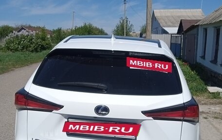 Lexus NX I, 2020 год, 3 999 000 рублей, 10 фотография