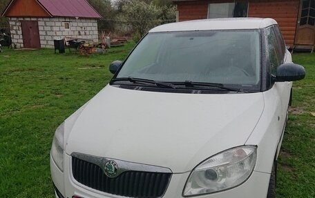 Skoda Fabia II, 2010 год, 435 000 рублей, 1 фотография