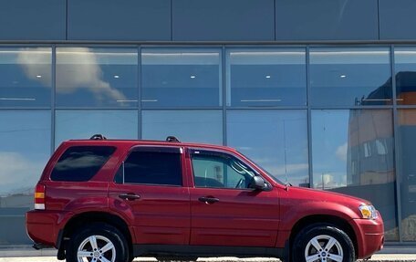 Ford Escape II, 2004 год, 529 000 рублей, 3 фотография