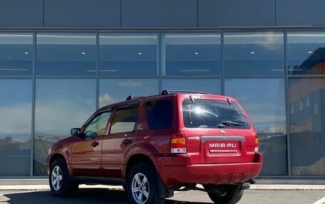 Ford Escape II, 2004 год, 529 000 рублей, 5 фотография