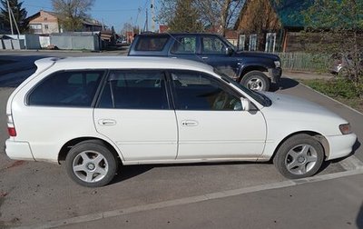 Toyota Corolla, 1999 год, 310 000 рублей, 1 фотография