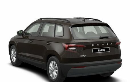 Skoda Karoq I, 2024 год, 3 765 000 рублей, 6 фотография
