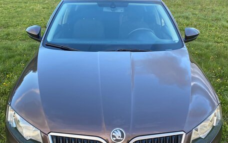 Skoda Octavia, 2014 год, 1 350 000 рублей, 9 фотография