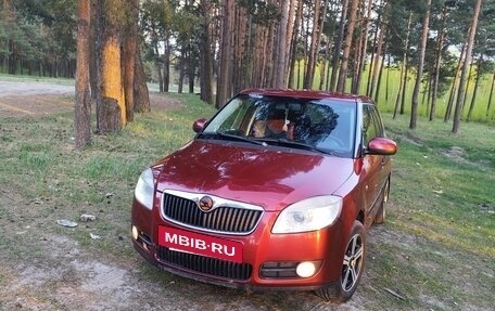 Skoda Fabia II, 2009 год, 550 000 рублей, 2 фотография