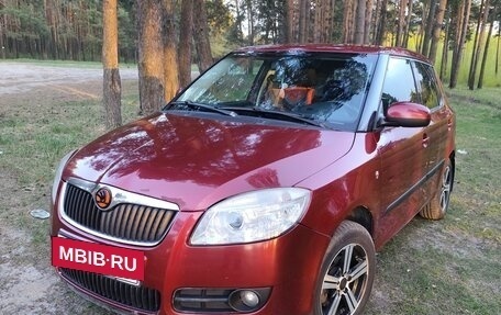 Skoda Fabia II, 2009 год, 550 000 рублей, 4 фотография