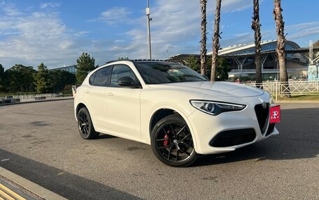 Alfa Romeo Stelvio, 2019 год, 3 450 000 рублей, 1 фотография