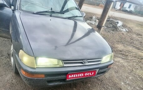 Toyota Corolla, 1991 год, 165 000 рублей, 1 фотография