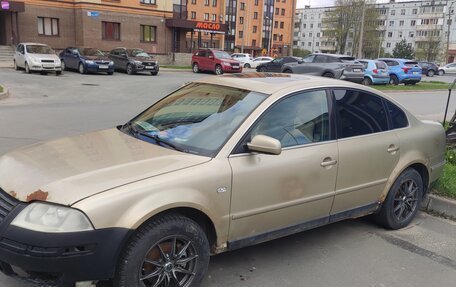 Volkswagen Passat B5+ рестайлинг, 2002 год, 250 000 рублей, 3 фотография