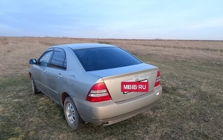 Toyota Corolla, 2002 год, 520 000 рублей, 6 фотография