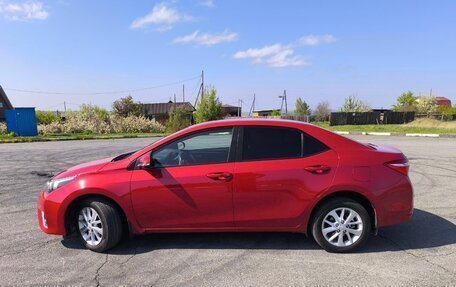 Toyota Corolla, 2014 год, 1 600 000 рублей, 12 фотография