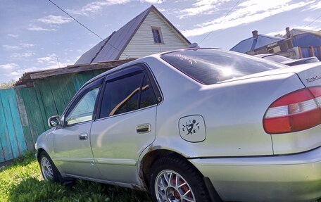 Toyota Corolla, 1999 год, 350 000 рублей, 4 фотография